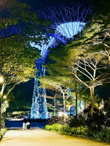 🇸🇬Singapore➖โชว์ต้นไม้ไฟสุดอลังการ🎆🎇 (Garden by the bay)