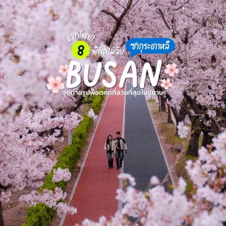 🌸🇰🇷 부산에서 가장 아름다운 사진 명소 8곳.