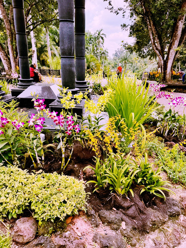 Pro-Tips for Your Botanical Expedition