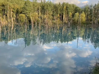 一天三奇觀：北海道的風景逃逸之旅