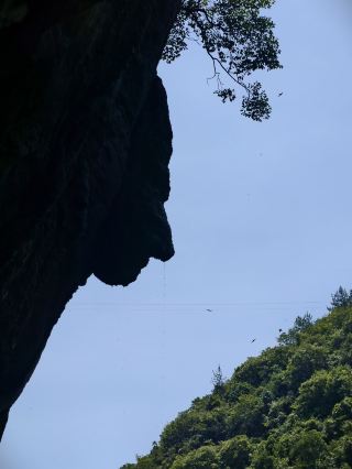 Captured a Mountain God with a Runny Nose in Dixingu.