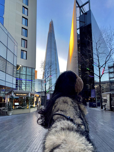 ロンドンのおすすめ写真スポット10選🇬🇧 | Trip.com ロンドン