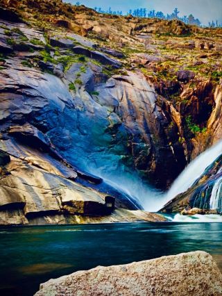 Malawi Nyika Livingstonia Mission Mossy Grassland Forest Edgeeasytravelpost #NyikaPlateau #Livingst