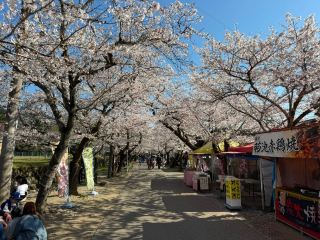 Step Back in Time: Exploring Akizuki Castle Town, Fukuoka’s “Little Kyoto” 🇯🇵✨