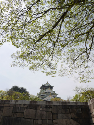 大阪城 — 日本之旅中一個難忘嘅站點