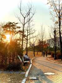 ลอยขึ้นเหนือ Yeouido ชมวิวโซลแบบ 360° จากบอลลูนยักษ์