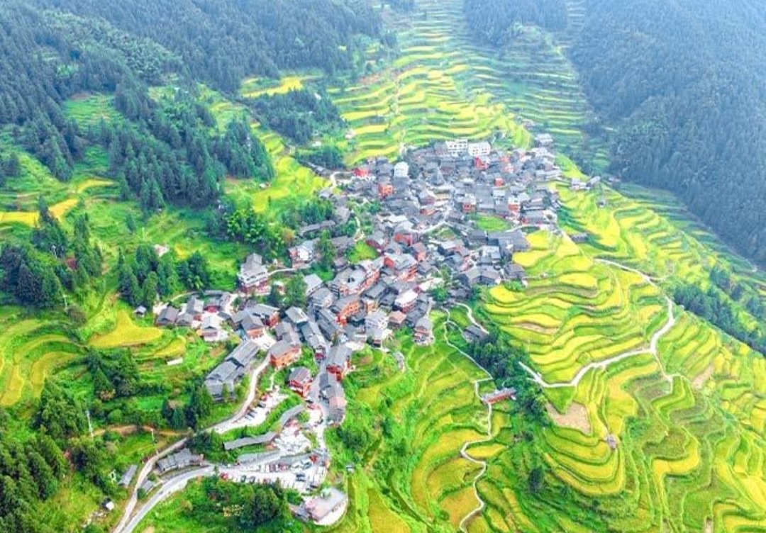 🌿 Tang’an Rice Terraces, Liping, China — A Hidden Paradise in the Mountains 🇨🇳✨

Far away from the busy city life, Tang’an Rice Terraces in Liping County, Guizhou Province, China, offer a breathtaking escape into nature. ⛰️💚

Imagine layers of beautiful rice terraces flowing along the mountainsides, traditional Dong villages nestled among green hills, and peaceful walking paths surrounded by spectacular scenery. Every view feels like a painting created by nature itself.

Tang’an Dong Village is especially charming for its traditional wooden houses, rich Dong culture, and stunning countryside landscapes. The changing seasons bring different shades of beauty—from fresh green rice fields in summer to golden terraces during harvest time.

For travelers who love authentic cultural experiences, mountain scenery, and peaceful destinations away from crowded tourist spots, Tang’an is a wonderful place to discover. The panoramic views are perfect for photography, while the quiet village atmosphere makes every moment feel special. 📸🌾

✨ Tang’an is where traditional village life meets the timeless beauty of China’s mountain landscapes.

Would you add this hidden gem in Guizhou to your China travel bucket list? ❤️

#TangAnRiceTerraces  #Liping  #GuizhouChina  #ChinaTravel  #DongVillage  #RiceTerraces  #HiddenGems  #TravelPhotography  #NatureLovers  #TravelMoments #travel2026 #travel #naturalwonders 