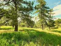 Lookout Mountain Nature Center And Preserve