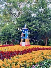 莫奈的夢境：漫步共青森林公園的花海之中