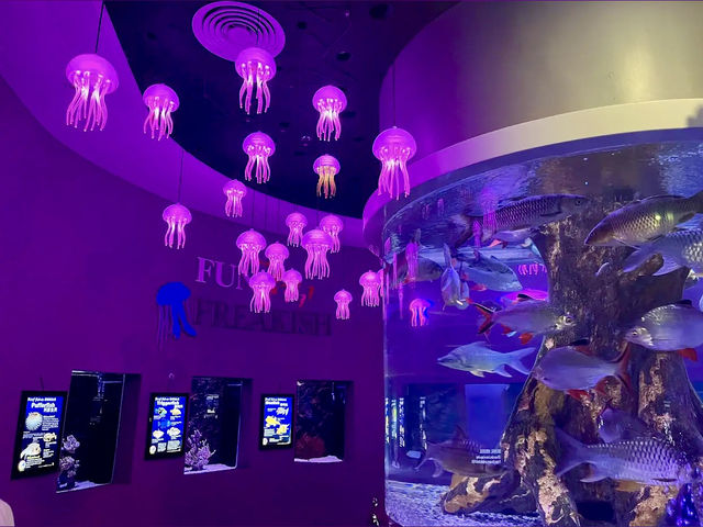 The Shore Oceanarium 