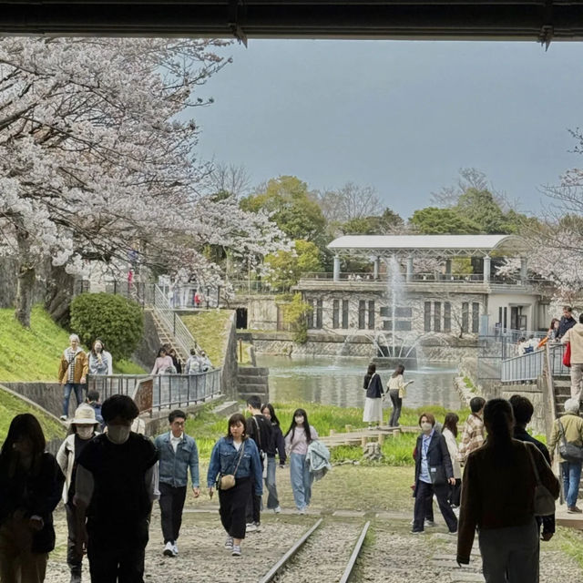 48 Hours in Kansai: Spring Vibes and New Discoveries