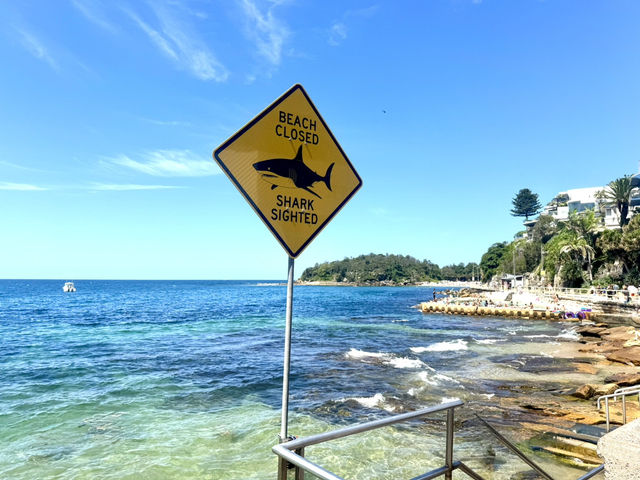 Sydney beaches 