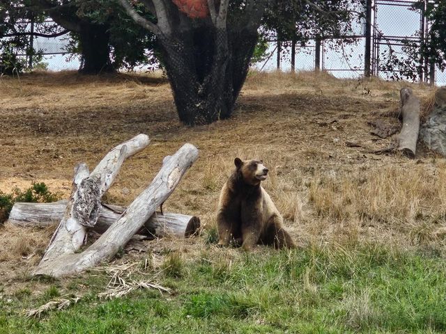 Oakland Zoo 🇺🇸