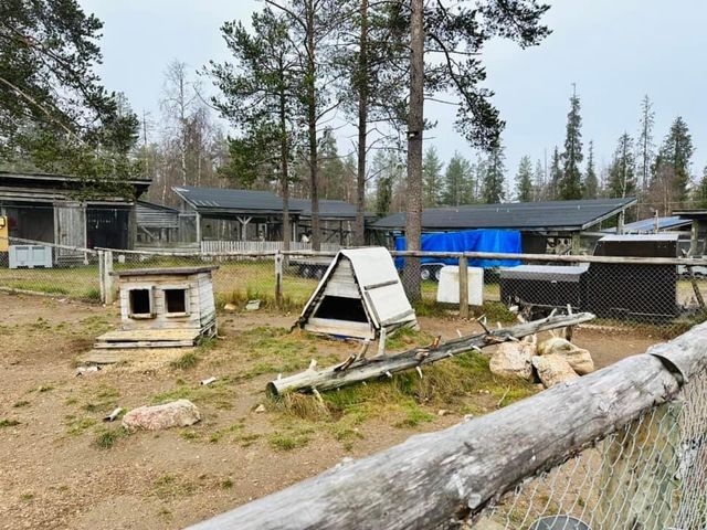 芬蘭🇫🇮景點-Äkäskero哈士奇莊園