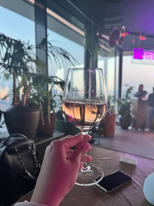 荷蘭之旅1 令我尖叫到傻的A‘DAM LOOKOUT
