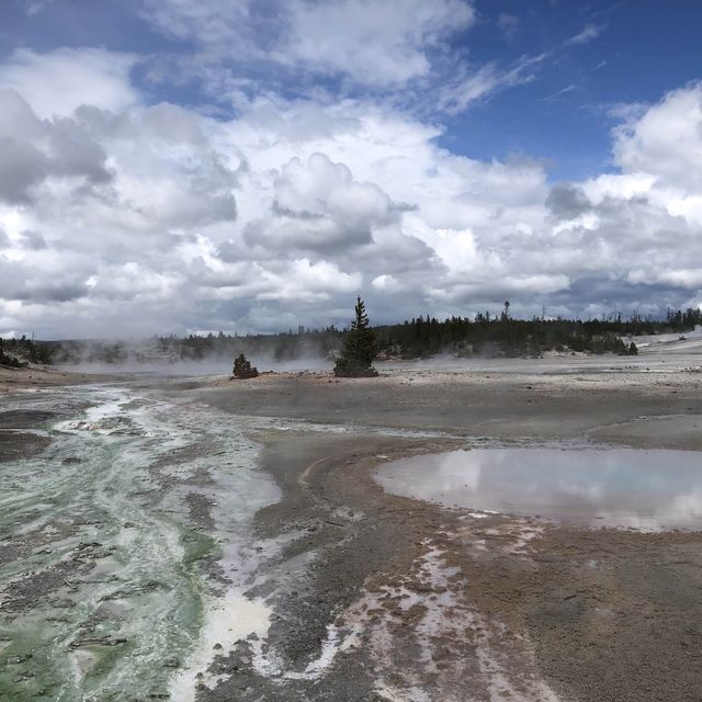 Yellowstone is nuts!