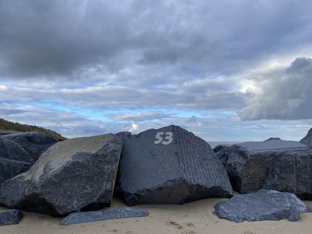 🌊🦭 Nature's Spectacle Along Norfolk's Coast