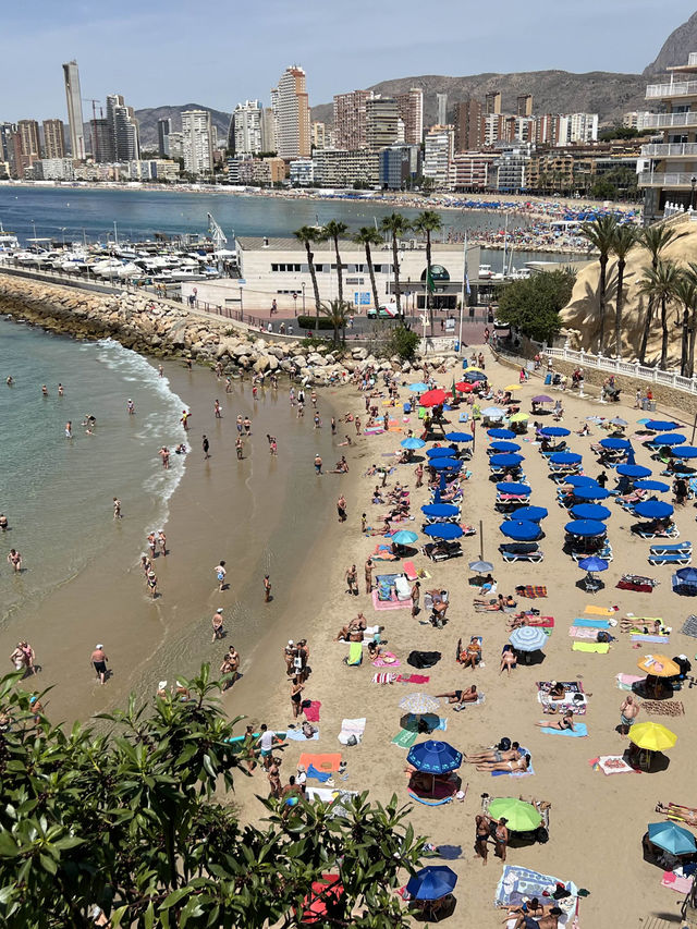 🇪🇸내가 요시고가 될 수 있는 에메랄드 여름 휴양지