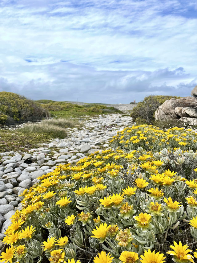 📍Agulhas National Park, South Africa 🇿🇦 