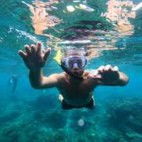 Snorkeling in Maldives is AMAZING!