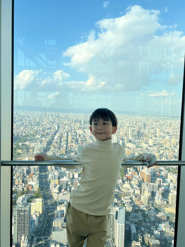 Harukas 300 Observatory