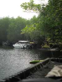 Mangrove Bungalow & Restaurant