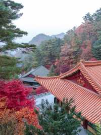 충북 단양 구인사 🍁