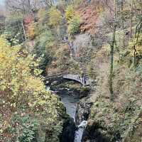 National Gem of Ullswater: Aira Force Adventure