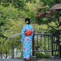 Timeless Beauty: Exploring Japan’s Soulful Wonders