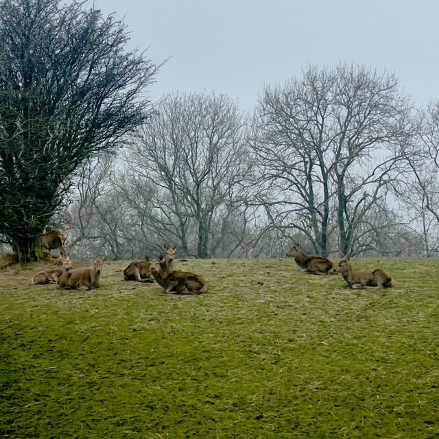 Bounteous views from Broadway Tower