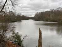 Manchester’s city park