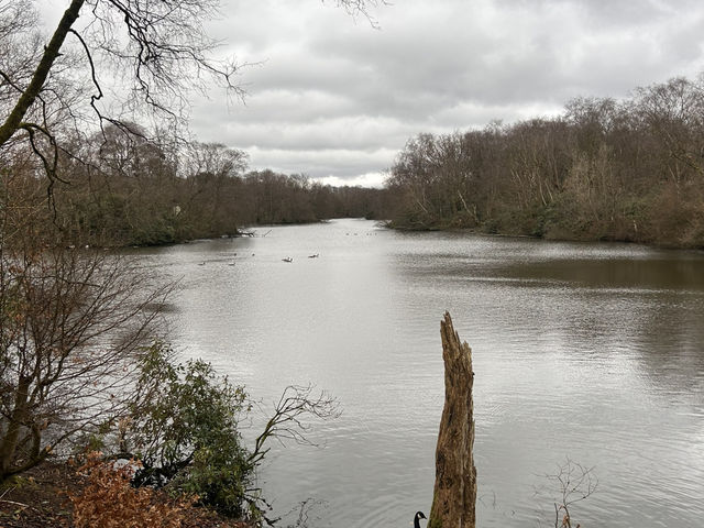 Manchester’s city park
