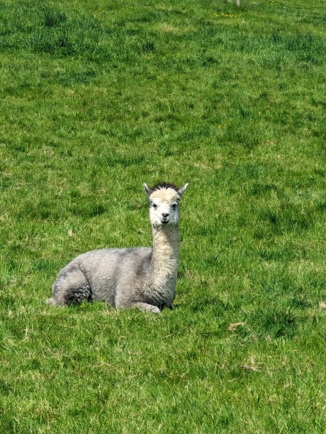 Tewin Bury Farm