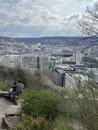 Discover Tranquility: A Hidden Gem in Stuttgart's Chinese Gardens