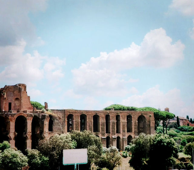 Gladiator’s Ground: Inside the Mighty Colosseum