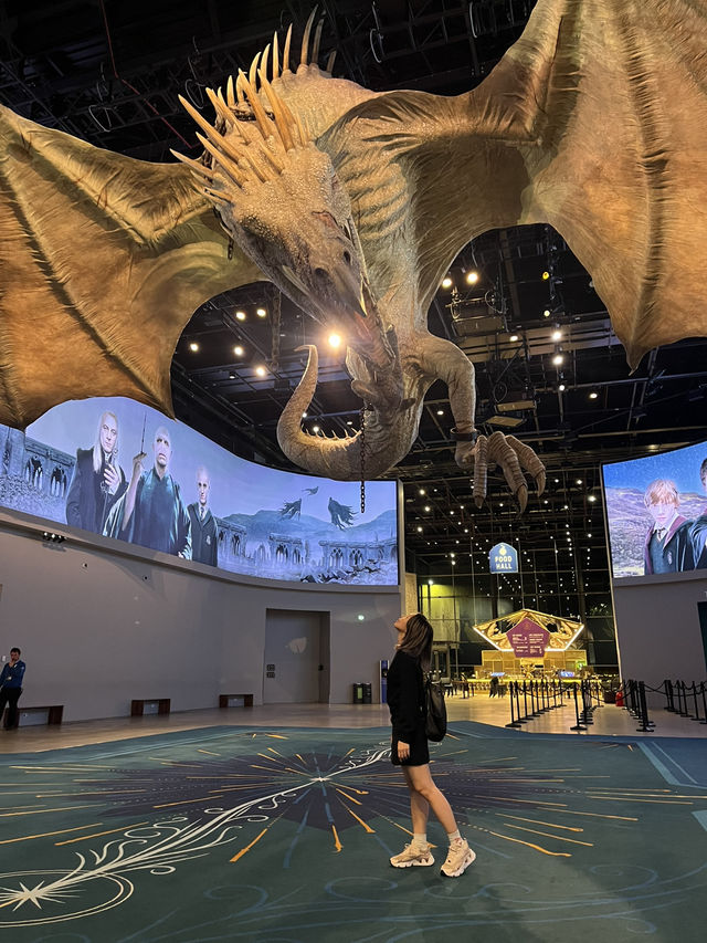 A Muggle’s Day in the Wizarding World