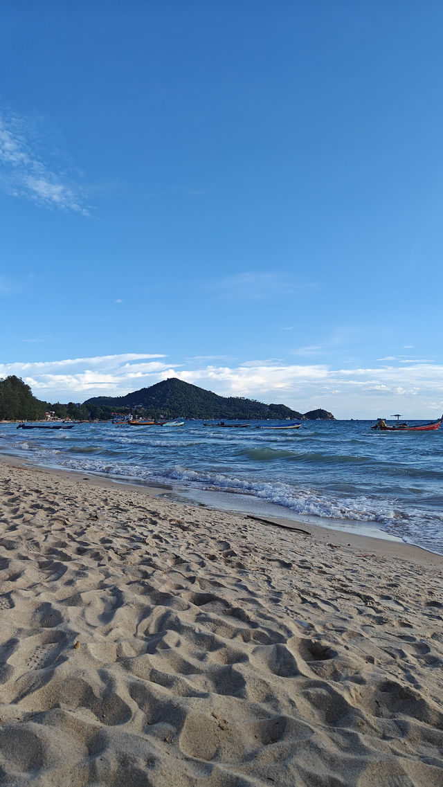 Snorkeling at Shark Bay – Koh Tao’s Best Spot to See Blacktip Reef Sharks 🦈🌴