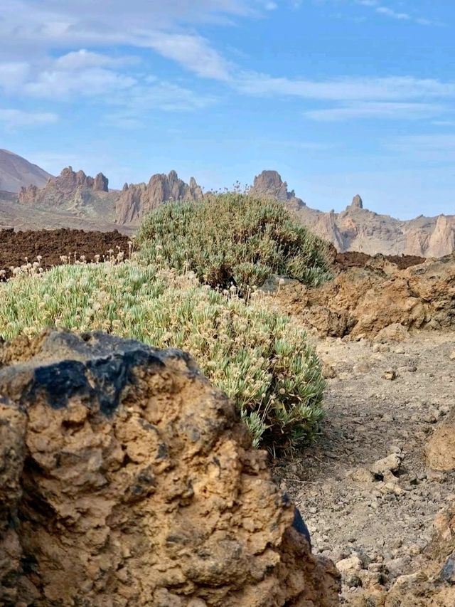 Queen’s Shoe Rock 👠⛰️ – A Whimsical Morning Find in Teide National Park 🌋