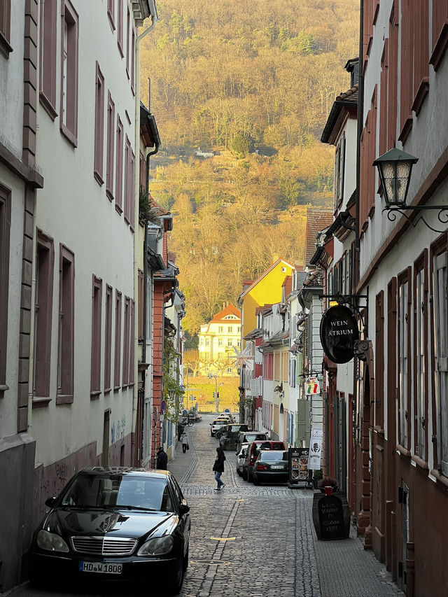 Wandering through Heidelberg feels like stepping into a storybook 🏰