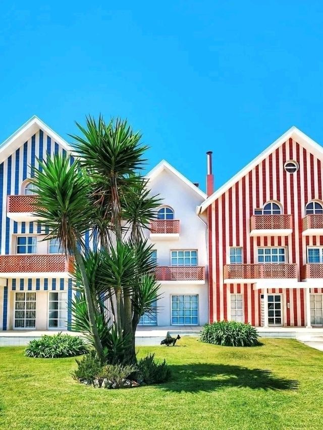 Aveiro, Portugal: The Venice of Portugal with a Coastal Soul