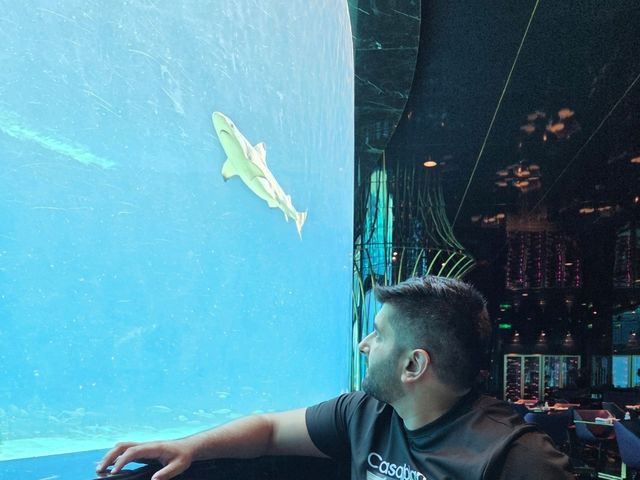 Nemo restaurant 
