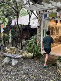 🪨🎨 Stone Stories of Luna – Discovering Kamay na Bato 🌊🇵🇭  