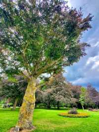 War Memorial Park, Coventry: Peaceful, Green, and Full of Life 🌳🕊️