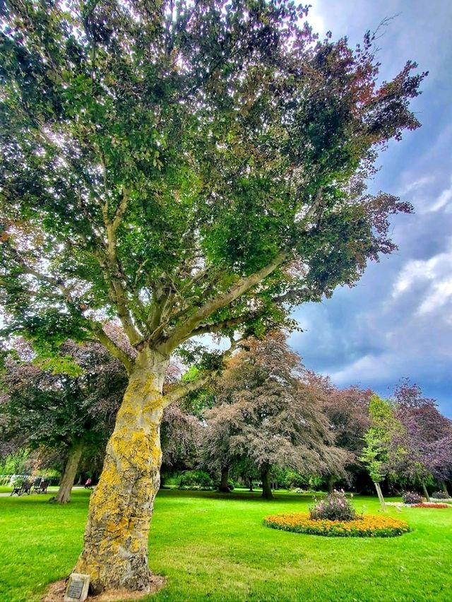 War Memorial Park, Coventry: Peaceful, Green, and Full of Life 🌳🕊️
