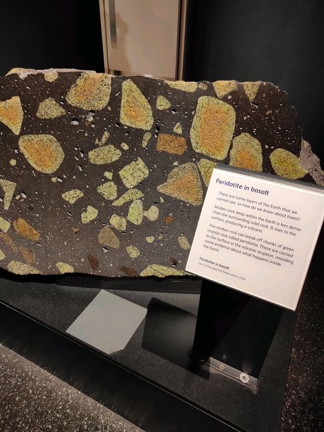 Stone as Storyteller — A Review of the Earth Sciences Gallery at the National Museum of Scotland