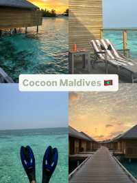Cocoon Maldives — Where Modern Luxury Meets Barefoot Paradise