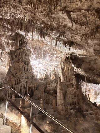 Step into a magical underworld at the Drach Caves in Mallorca! 🌏✨ These expansive karst caves are famous for their stalactites, underground lake, and hauntingly beautiful classical music concerts in the belly of the earth. Nature’s artistry meets adventure, making it a must-visit if you’re around Manacor.

Start your journey in Porto Cristo, with the Drach Caves conveniently located at Ctra. de les Coves, s/n, 07680 Porto Cristo. Aim to arrive early to beat the crowds—doors open from 10:00 to 17:00 (Mar 17–Oct 31), or 10:30 to 15:30 (other periods), but closed Jan 1 & Dec 25. The entry fee is €28.80.

Begin with the well-marked path that winds through dramatic caverns—be sure to admire the naturally illuminated rock formations. Don’t miss the underground Lake Martel: float on a boat (included in ticket) and soak in the live music performance, a truly mystical experience unique to this cave!

The best photo ops? Snap the vivid reflections over Lake Martel, close-ups of intricate stalactites, and the beautiful contrasts between rock and water—brighter colors after 10:30 AM help your images pop.

Personal tip: Wear sturdy, non-slip shoes—the floors get damp! Also, bring a light jacket, as it’s cool underground compared to the Mallorca sun. Take your time; rushing through skips the small details like delicate cave flowers and glowing mineral veins.

Keep an eye out for large groups, as some sections can get crowded. Perfect for anyone craving outdoor natural beauty and a one-of-a-kind underground adventure.

#Mallorca #DrachCaves #NatureEscape #OutdoorAdventure #KarstLandform