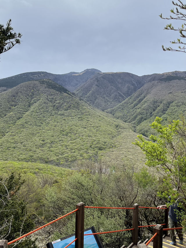 Easy hiking experience in Jeju ⛰️ Easy hiking experience in Jeju ⛰️