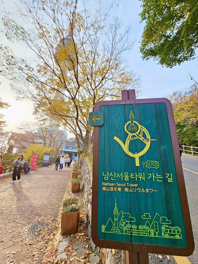 Seoul in Autumn: A Kaleidoscope of Colors 🇰🇷  