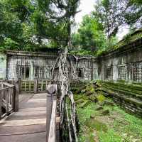 Самостоятельно в поисках сокровищ Ангкора.